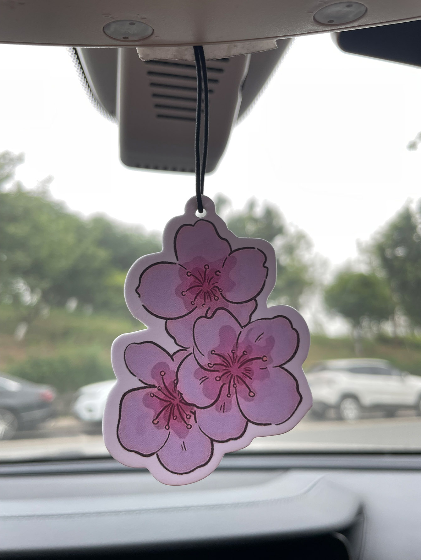 Home Fragrance Non Toxic - Parfum de voiture neutre cinq étoiles