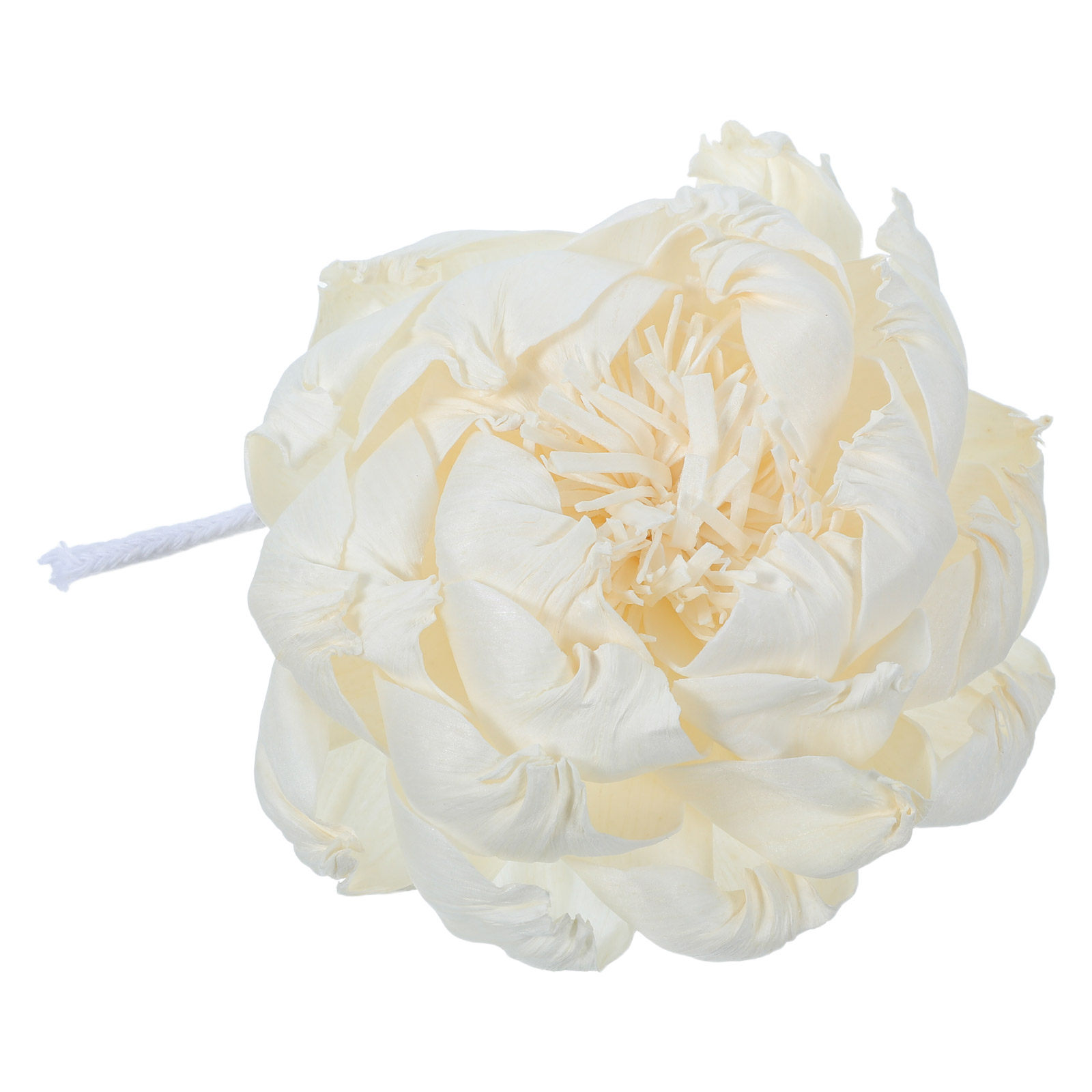 Diffuseur de parfum tête de pi - Home And You Fragrance Diffuser avis et prix