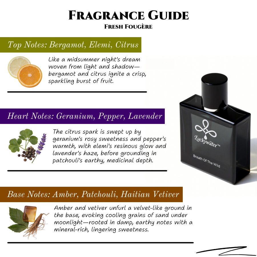 Cologne longue durée pour homm - Home Fragrance Business avis et prix