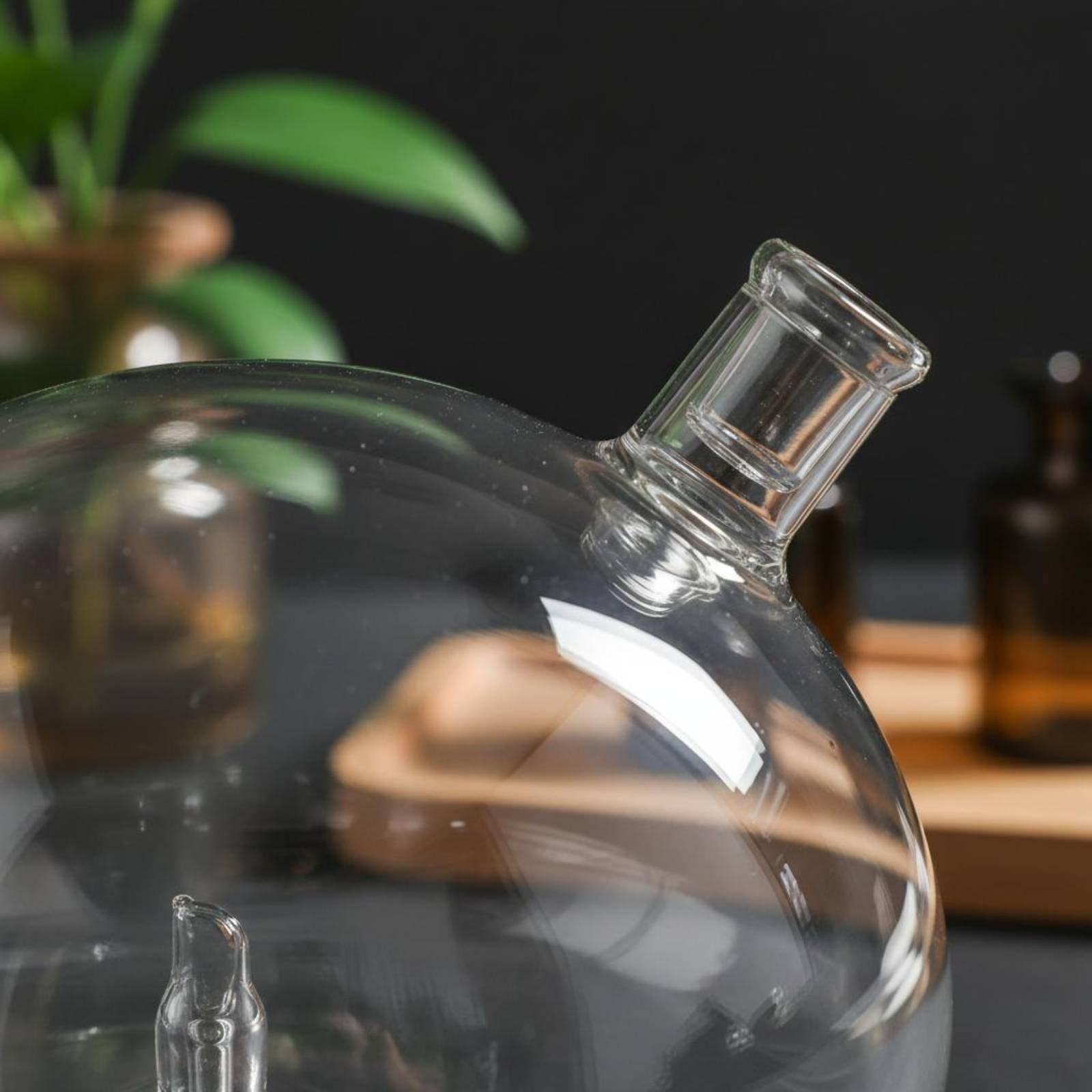 Bouteille diffuseur universell - Home And You Fragrance Diffuser avis et prix